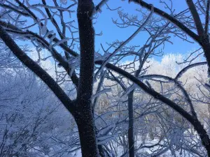 ボッケ（阿寒湖畔）