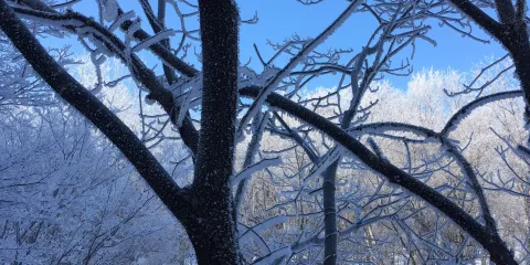 Bokke （Mud Volcano）