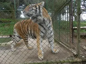 Parque Zoo Concepcion
