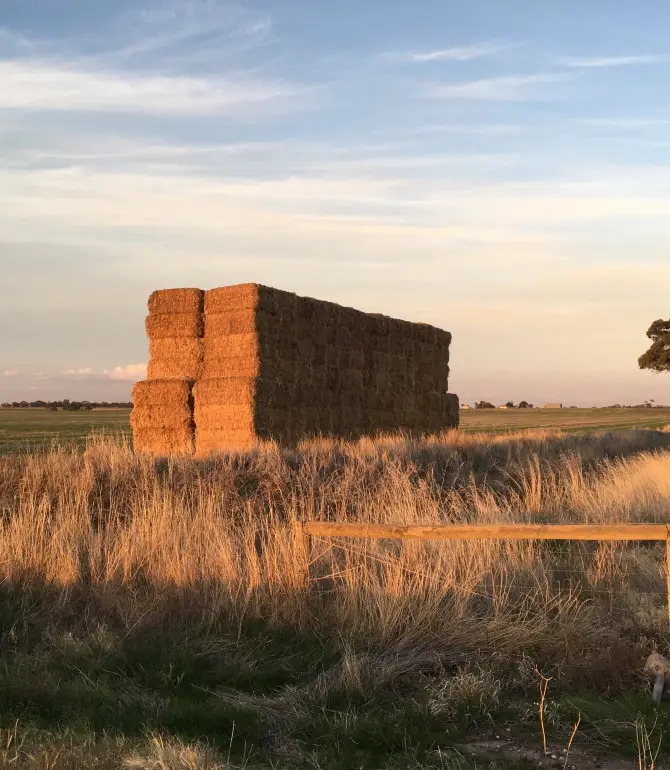 Dimboola