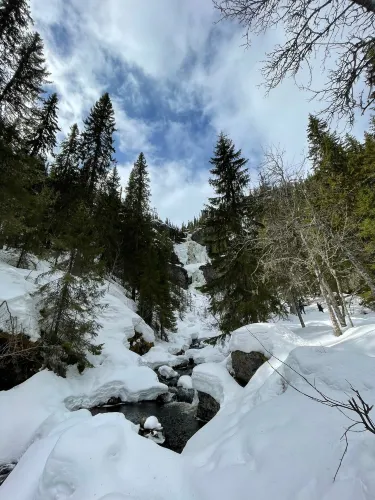Berg