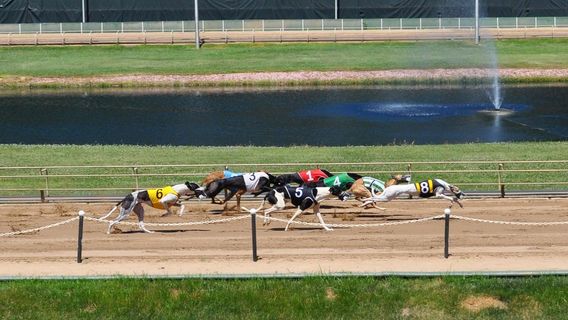 Iowa Greyhound Park