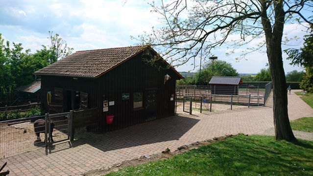 Letzenberg Tierpark Malsch