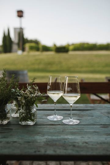 Azienda Agraria Guerrieri