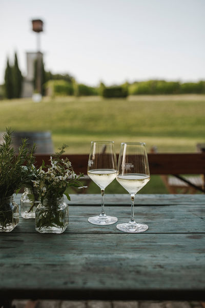 Azienda Agraria Guerrieri