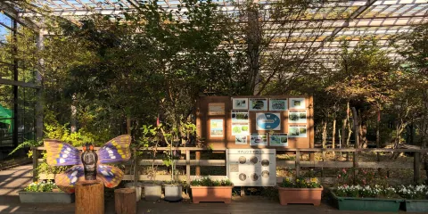 Hokutoshi Oomurasaki Center