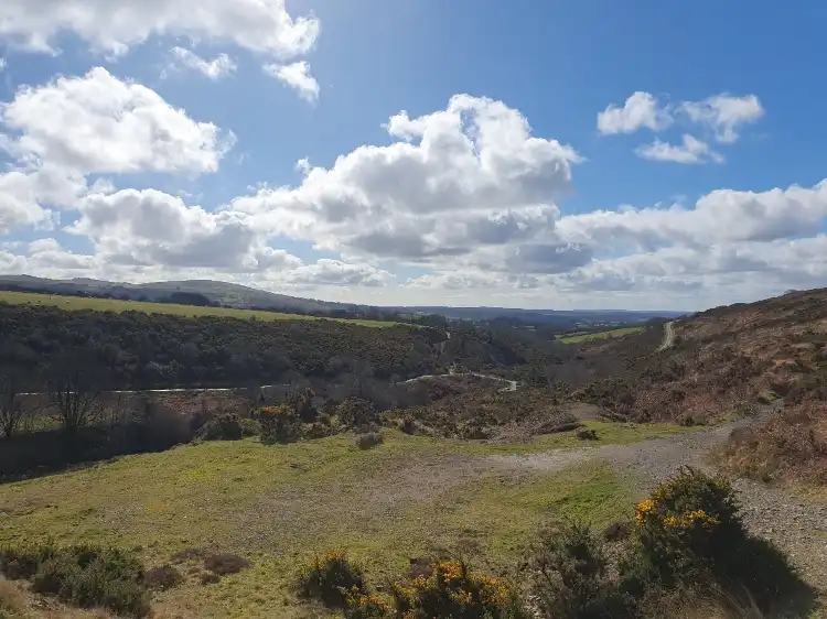 Hotels in Mary Tavy