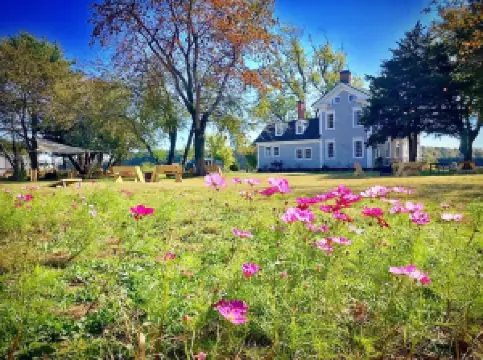 Windmill Creek Winery & Farm Kitchen