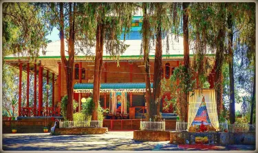 Entoto Park