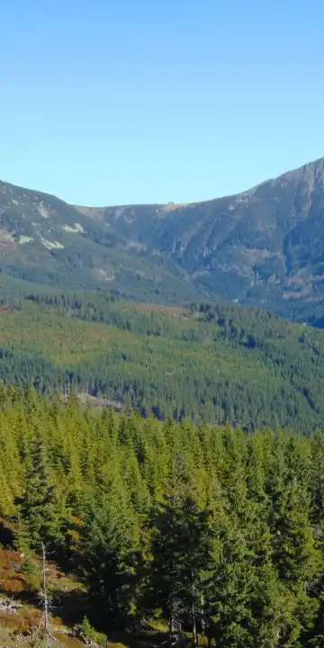 派克波特斯耐茲庫酒店