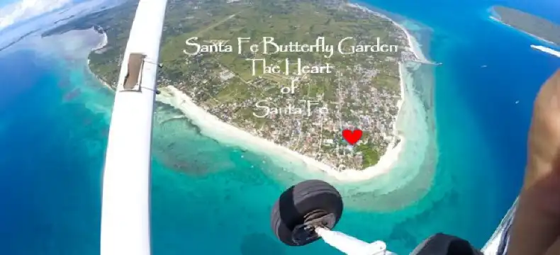 鄰近Sugar Beach的酒店