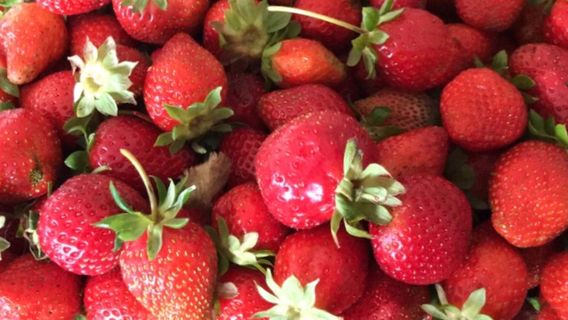 Littlewood Berry Farm