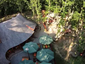 Adrenalin Park Cluj