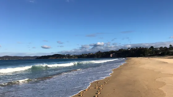 Aslings Beach Boardwalk