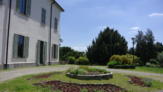 Varese