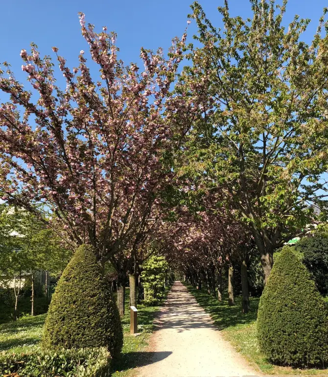 Roissy-en-France