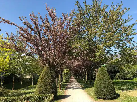 Hotels near City/Town Hall Park