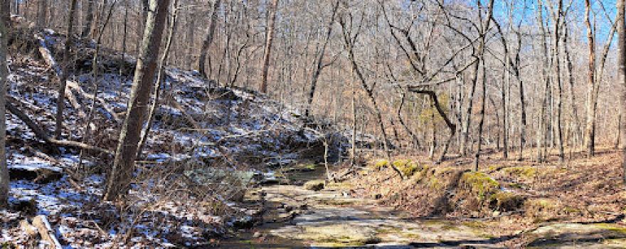 Giant City Nature Trail