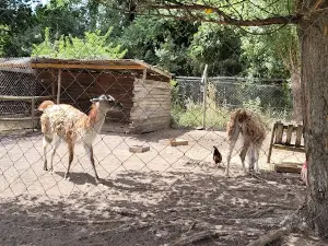 zoológico los angeles