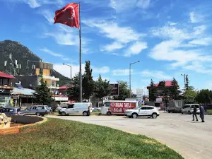Akçatekir