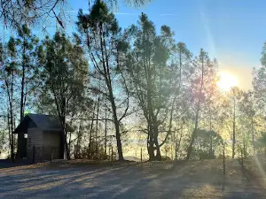 Williams Hill Recreation Area