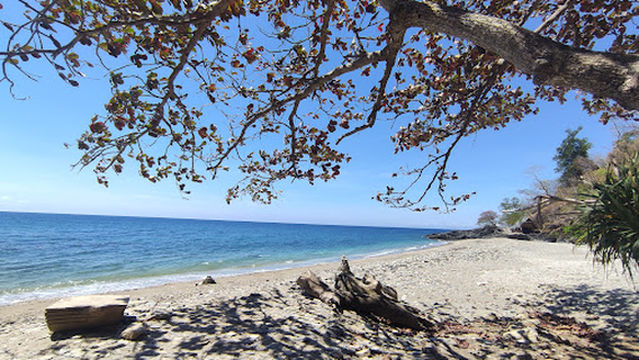 Palawan Campsite -Tindog Beach