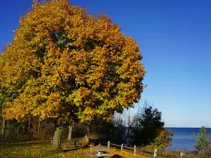 Lake Huron Roadside Park