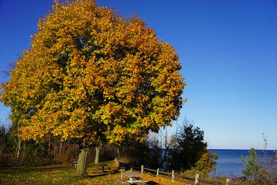 Lake Huron Roadside Park