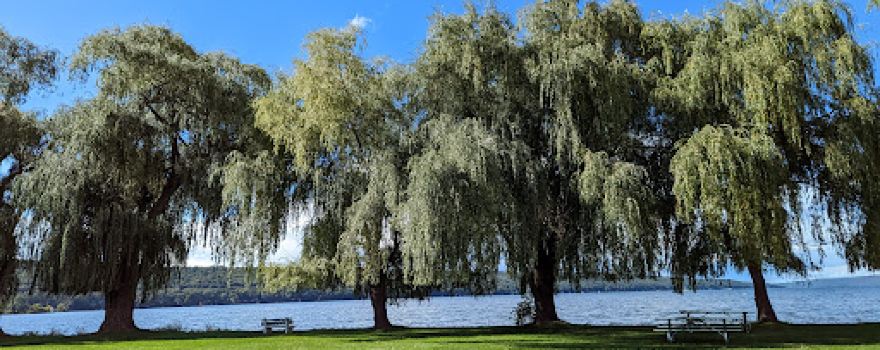 Stewart Park