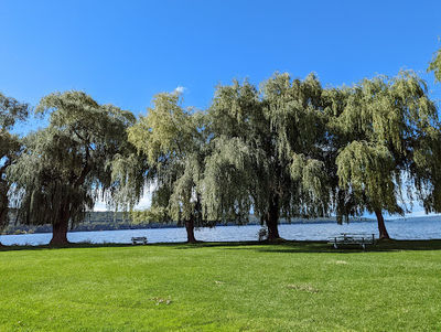 Stewart Park