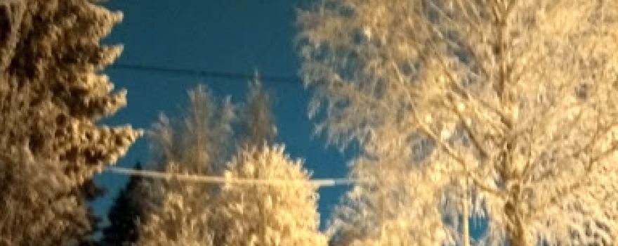 Plesetsk