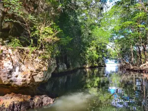 Cueva de La Linea