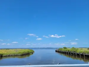 サキシス野生動物保護区