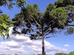 Parque 23 de Setembro
