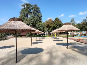 Park Miejski w Dębnie