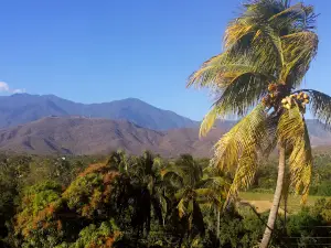 Central, Cabanas, Zacapa Park