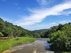 Eco Parque Jacaré