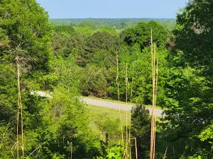 Twentymile Bottom Overlook