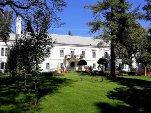 Dégenfeld Kastélymúzeum