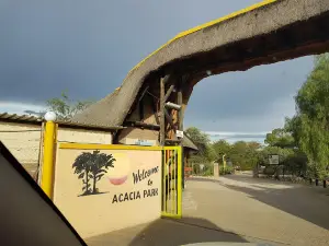 Acacia Park