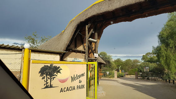 Acacia Park