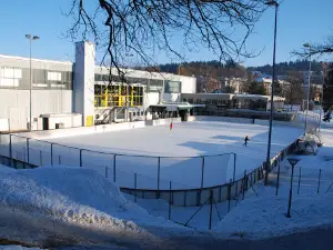 Rink of Melezes