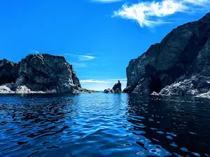 Twillingate Adventure Tours