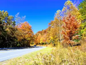 Brown Mountain View