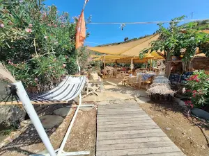Paralia Vitali
