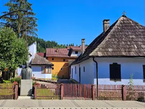 George Coşbuc Memorial Museum
