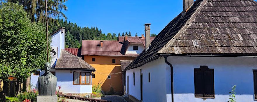 George Coşbuc Memorial Museum