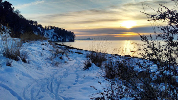 Botanical Garden Beach Viewpoint
