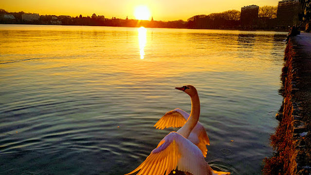 Plage de l'Impérial