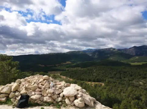 Yacimiento Arqueológico de La Almoloya